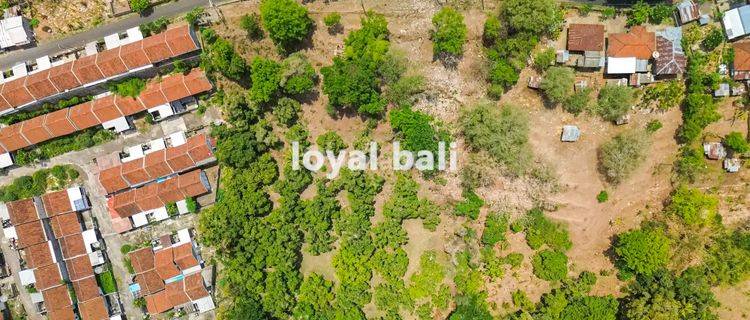 Tanah 15.000m² / Land in of Tegal Linggah, Buleleng, Bali 1