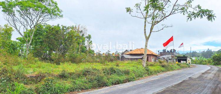 Tanah 3.700m² Land In Of Kintamani, Bali 1