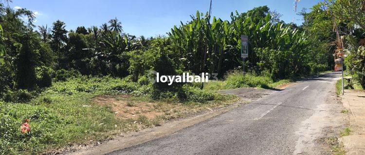 Tanah, Nice Land Near The River In Subamia Tabanan, Bali 1