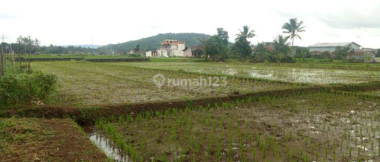 Tanah Di Kampung Cibolang Kidul Cibatu Cisaat Sukabumi.  1