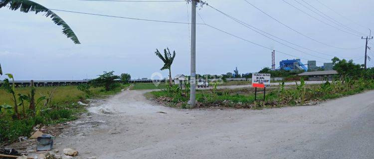 Tanah di Babelan, Bekasi 5 ha 1