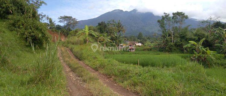 Tanah di Lido, Sukabumi Sertifikat Hak Milik 520.000 m² 1