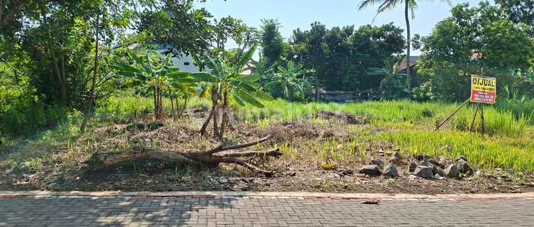 Tanah Murah Pudak Payung Banyumanikk 1