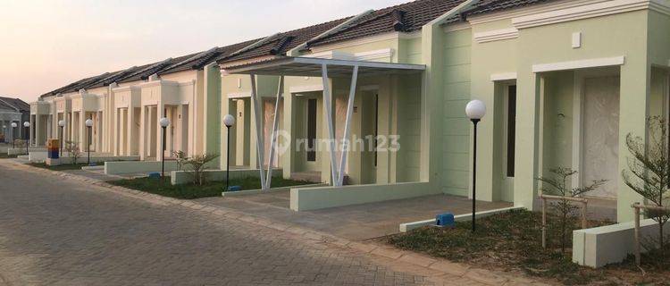 Rumah Sewa Green River View Tanjung Bunga di Perumahan Green River View 
Cluster 
Rose Mary 
Castanea 
Goldenrood
Tersedia Ukuran 
5x12
6x12
6x15
Harga Sewa 
Per Bulan  3,5 - 5 Juta ( ada perabot ) 
Per Bulan  2,5 - 3 Juta ( Kosongan ) 
Per Tahun 25 - 35  1