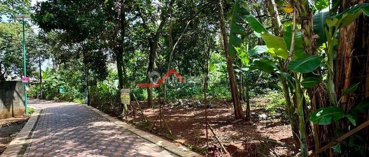 Tanah dijual murah 3,2jt per matar nego  1