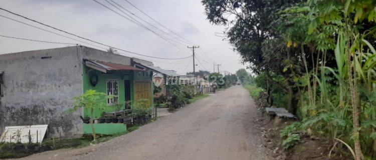 Dijual Tanah Luas 2,5 Ha Di Samping Tol Semayang Binjai, Tembok Keliling, Siap Bangun 1