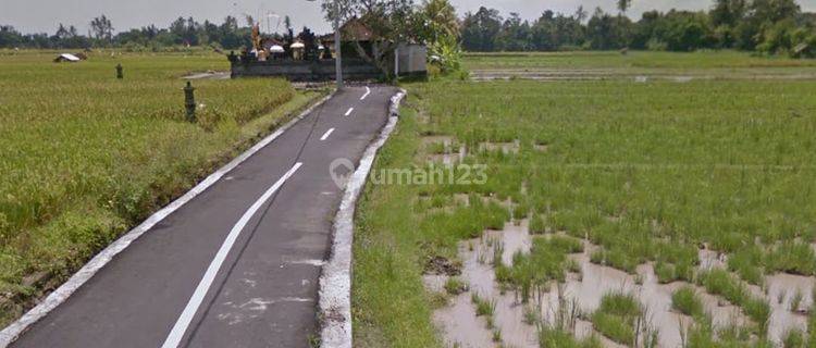 Di Jual Tanah Murah 600 Meter View Sawah Disingapadu Gianyar An 1646 1