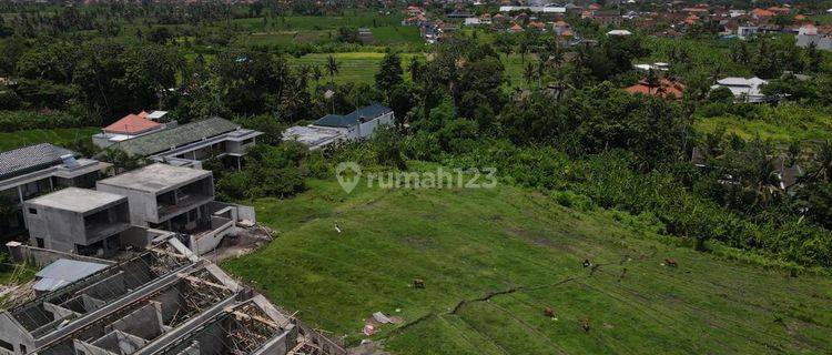 Land Leasehold Pavlingan 3,14 Are In Tumbak Bayuh Yt 1978 1