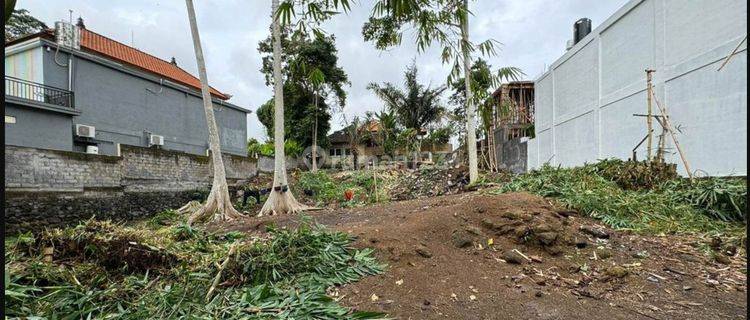 Land for Rent 7 Are Batu Bolong, Canggu, Badung Bali Yt 2399 1