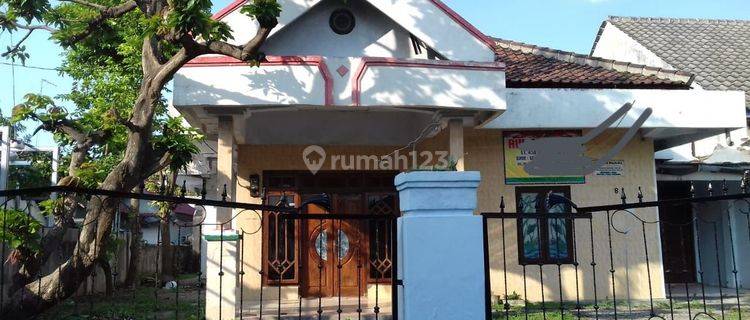 Dijual Cepat Rumah Besar Di Kampung Inggris Pare, 1