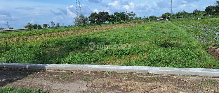 Tanah Kawasan Pertanian Dekat Exit Tol Jogonalan Klaten 1