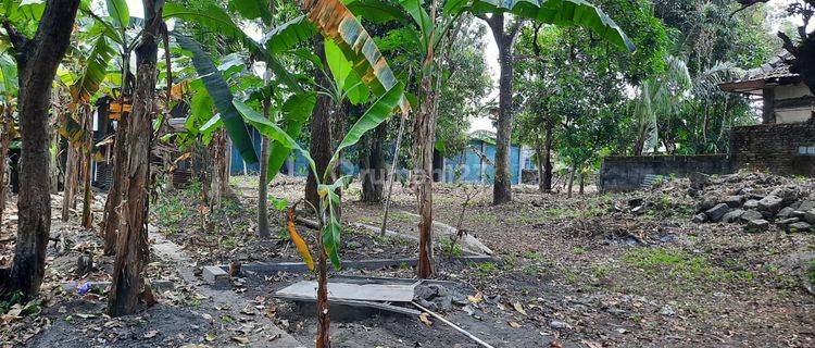 Tanah Shmp Kawasan Candi Prambanan Sleman 1