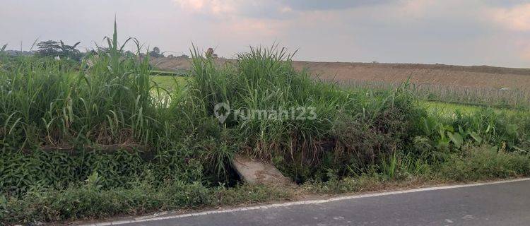 Tanah Sawah Dekat Jalan Tol Area Jl. Raya Kokosan Prambanan 1