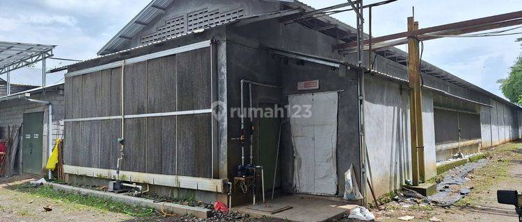 Peternakan Kawasan Pabrik di Jl. Kranggan pringsurat Temanggung 1