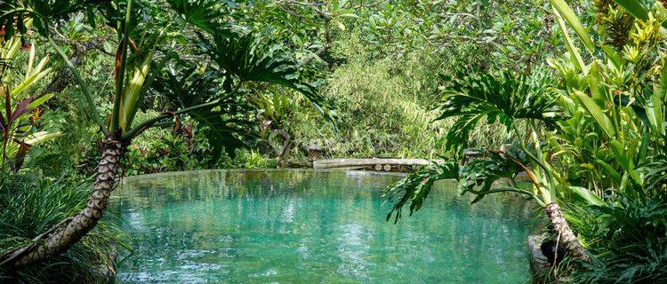 Rasakan Kedamaian Vila 2 Kamar Tidur Yang Tenang Hanya 10 Menit Dari Ubud 1