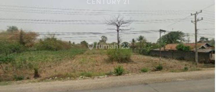 Dijual Tanah Datar Di Jl Lintas Sumatera Lampung Tengah DM15943 1