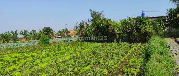 tanah  datar siap bangun daerah wisata Cihideung Bandung 1