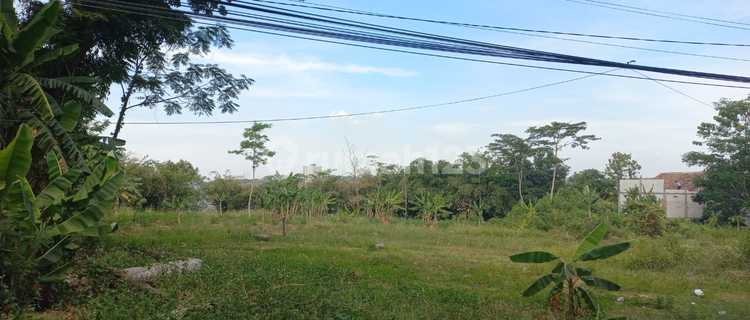Tanah Murah Jl Bukit Gondorio Ngaliyan Semarang Harga Dibawah Pasar 1