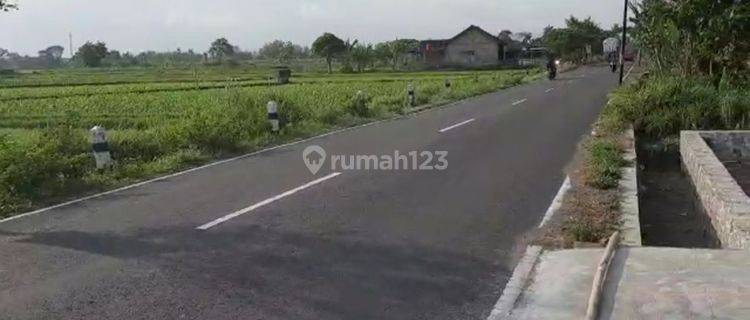 TANAH SUPER ISTIMEWA DAN MURAH DI PINGGIR JALAN MANISRENGGO  UTARA HOTEL GALUH PRAMBANAN  1