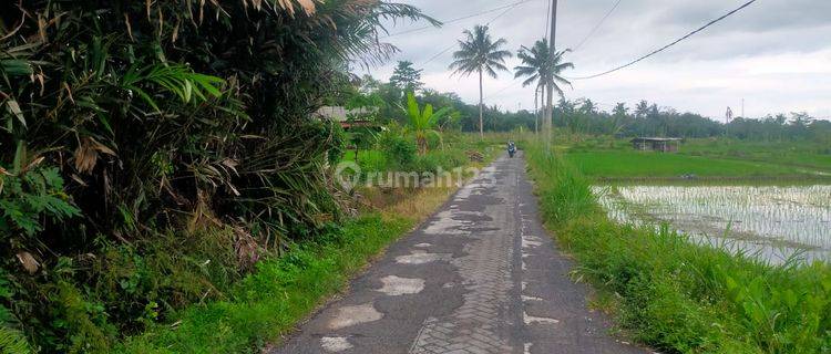 TANAH SUPER MURAH COCOK BUAT VILLA DI PAKEM 1