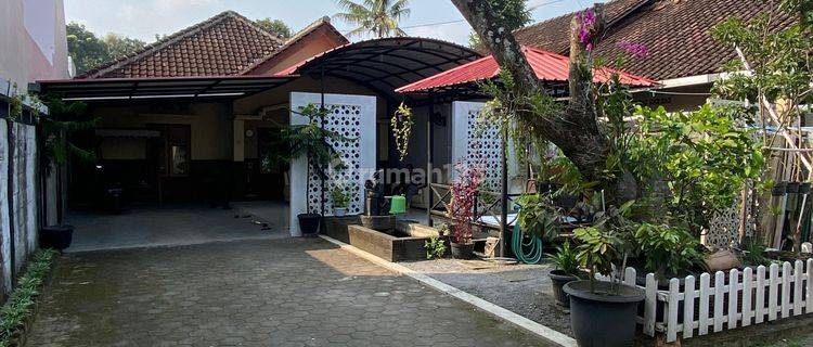 Rumah Asri Dan Nyaman Di Cebongan 1