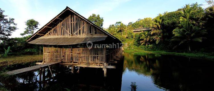 Villa Lahan di Pangandaran, Ciamis SHM 12,5 Ha 1