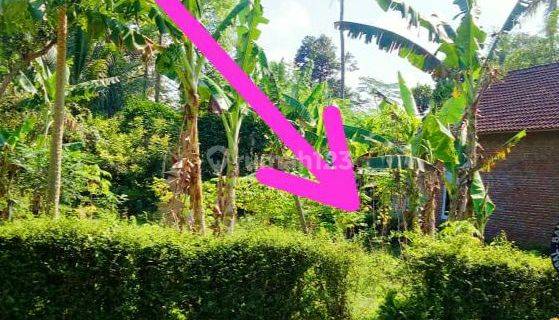 Dijual Tanah di Poros Jalan Pedesaan di Sumber Pucung Malang 1