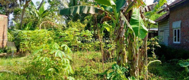 Dijual Tanah Murah Siap Bangun di Jalan Kebonsari, Desa Ngebruk, Sumberpucung Malang 1