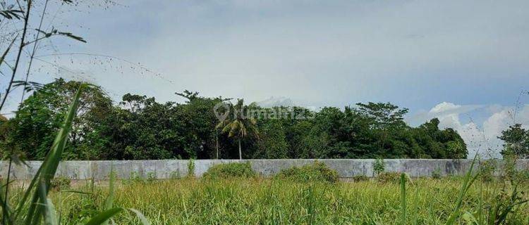 Tanah Padat Siap Bangun Cisauk Tangerang  1