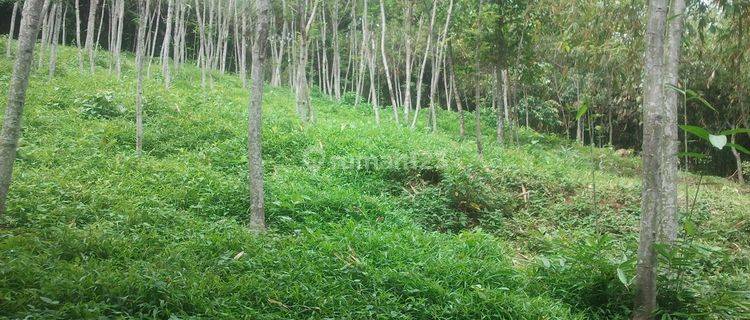 Dijual Kavling Lokasi Strategis Di Jatiluhur 1