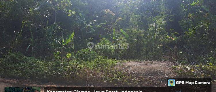 Tanah di obral murah lt 2600mtr dkat Geoprak ciletuh investasi masa depan  1