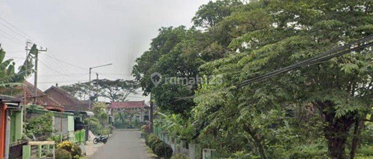 Tanah piggir jalan Aspal SHM Mangunrejo Kepanjen Malang dijual B.U 1
