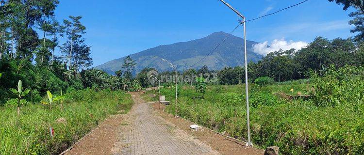 Tanah Kavling Lawang View Gunung Arjuna Malang 1