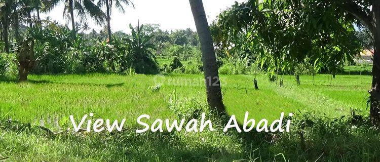 Tanah SHM Banjar Buleleng Bali Dekat Pantai Lovina 1