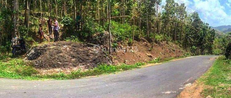 Dijual Tanah Sekotong Lombok Barat 0 Jalan Aspal View Bendungan 1