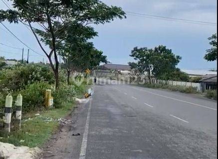 Kavling Jalan Nasional 1 Kab Rembang Jawa Tengah Lokasi Strategis 1