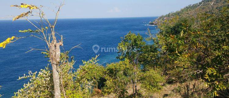 Los Cliff Land Bunutan Beach Karangasem  1