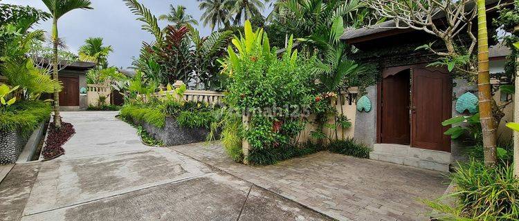 Murah Villa Furnished di Daun Lebar Villas Ubud, Bali 1