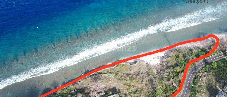 Tanah Super Premium Loss Tebing Dan Pantai di Nusa Penida 1