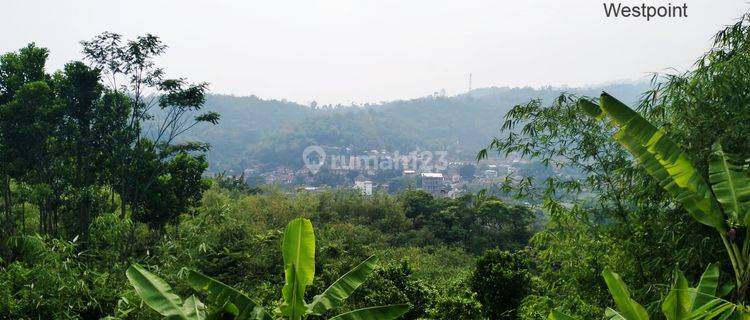 Murah Tanah Kebun 19.560 M2 di Desa Cikoneng, Ciwidey 1