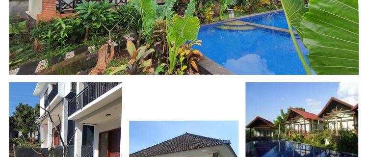 Dijual Cepat 12 Villa/Cottage dengan View Laut di Lovina Singaraja Bali 1