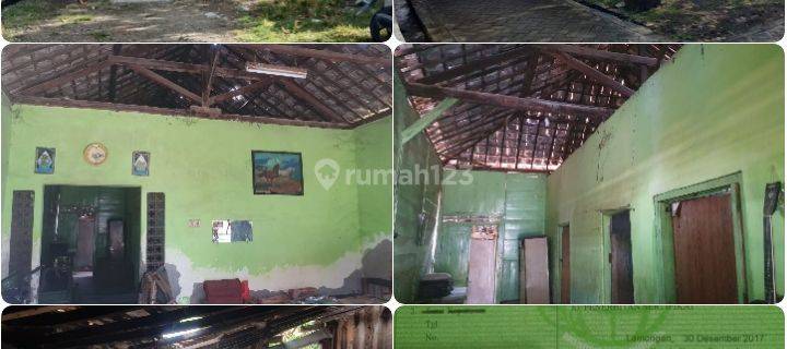 Rumah Desa Murah Dekat Menuju Kota 1