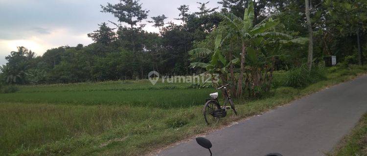 Tanah Sawah Seluas 978 Meter Persegi Di Dekat Jl Kebon Agung Sleman 1