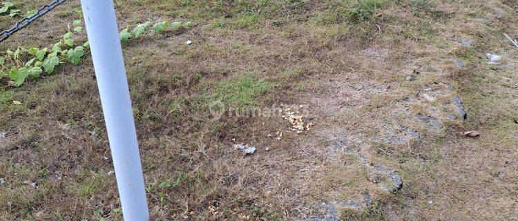 Tanah Langka Di Legian Lokasi Strategis Jual Murah  1