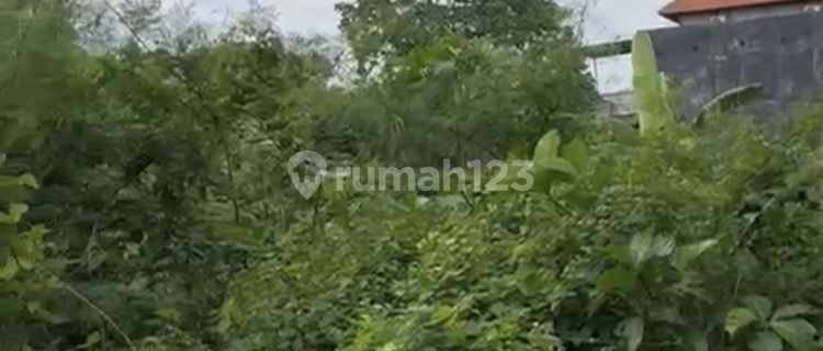 Tanah Murah Siap Bangun Zona Kuning Lokasi Dekat Unud 1