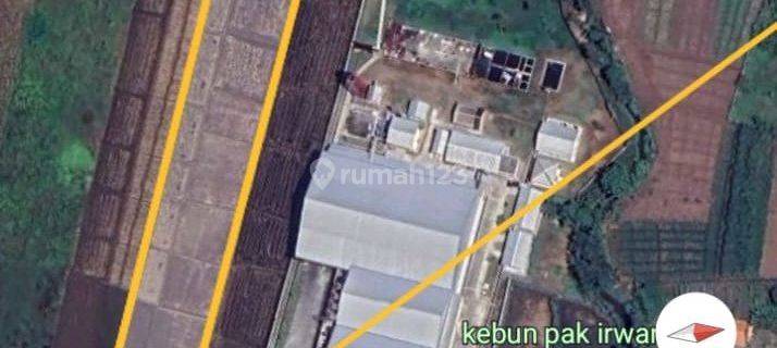Dijual Tanah Industri Mojoagung Jombang 1