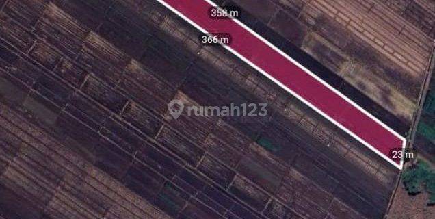 Dijual Tanah Grobogan Mojoagung Jombang 1