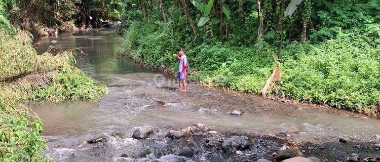 Tanah Kebun Murah Dekat Kota Malang 1