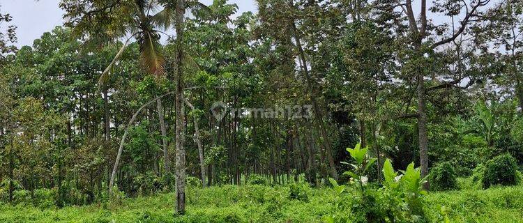 Tanah Kebun Durian Dekat Wisata Jenon Malang 1