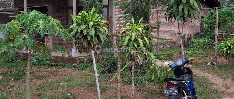 Beli Tanah Pekarangan Bonus Rumah Dekat Pusat Kota Malang 1